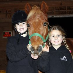 Scattered Acres Sport Horses - Scattered Acres is open to all levels and ages of riders.