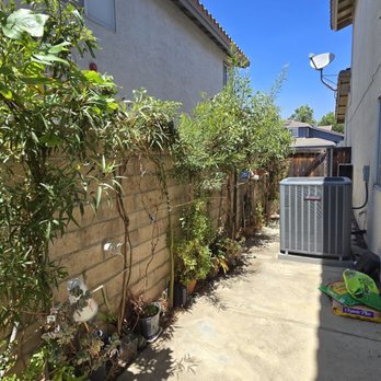 Timber Pros Tree Service - Before - Tree Services Near Me - Fontana , California