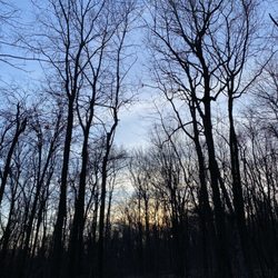 Hocker Park