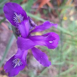 Jug Handle State Natural Reserve