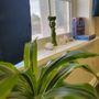 Photo of Orenda Studio's
