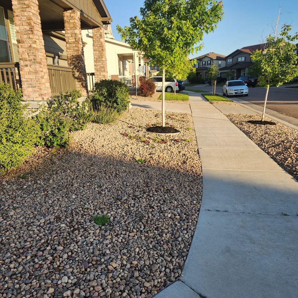 C & BEL SPRINKLER SYSTEM & LANDSCAPING Updated September 2024 28