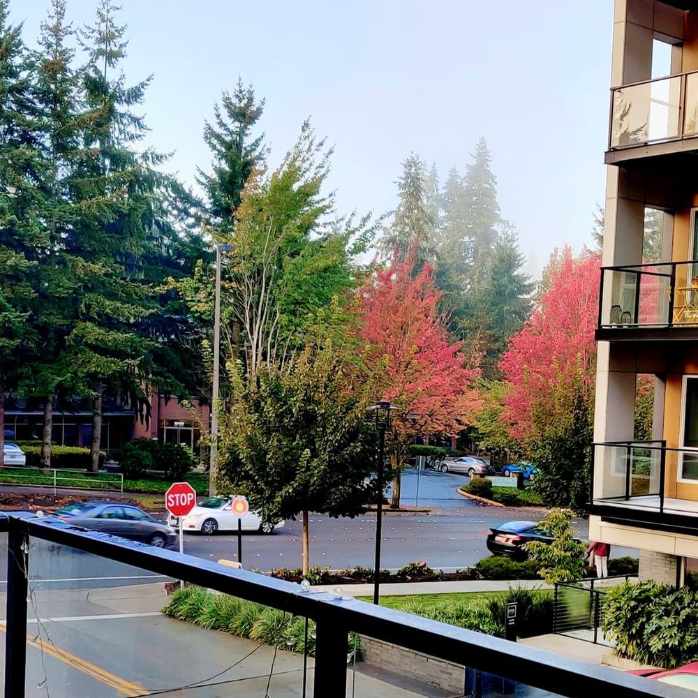 Hyde Square Apartments - Apartments Near Me - Bellevue, Washington Hyde Square Apartments - Apartments Near Me - Bellevue, Washington