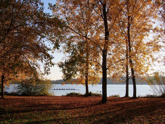 Green Lake Park by null