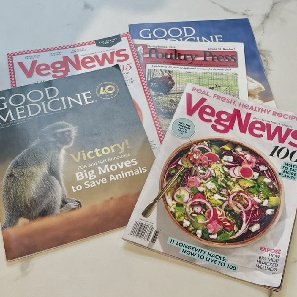Elephant And Vine - On their inside counter, they offer a selection of vegan and animal rights magazines: VegNews, PCRM's Good Medicine, UPC's Poultry Press. - Vegan Near Me - Evanston, Illinois