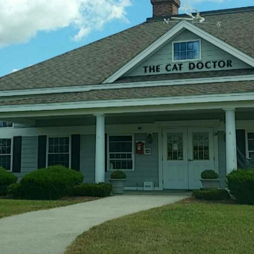 The Cat Doctor practice in summer.