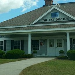 The Cat Doctor practice in summer. The Cat Doctor practice in summer.