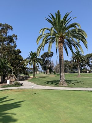 Goat Hill Park Golf Course by null