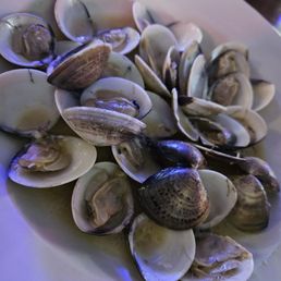 Steamers Steamers