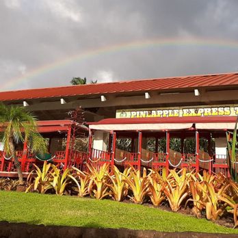 Oahu Nature Tours - Tours Near Me - Honolulu, Hawaii Oahu Nature Tours - Tours Near Me - Honolulu, Hawaii