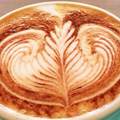 Felix & Co. Specialty Coffee by null
