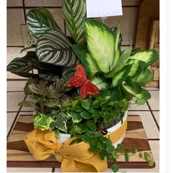 Stems Flower Bar - Beautiful arrangement delivered! Very pleased with the order!