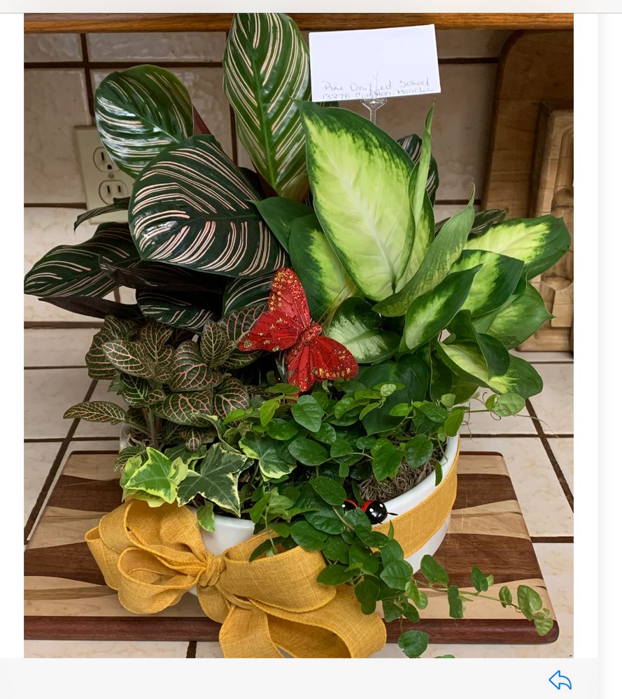 STEMS FLOWER BAR 98 Photos & 19 Reviews Paradise, California