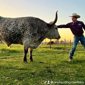 Rosemary Horse Ranch - Petting Shrek - Horseback Riding Near Me - Waller, Texas Rosemary Horse Ranch - Petting Shrek - Horseback Riding Near Me - Waller, Texas