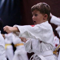 Seichou Karate