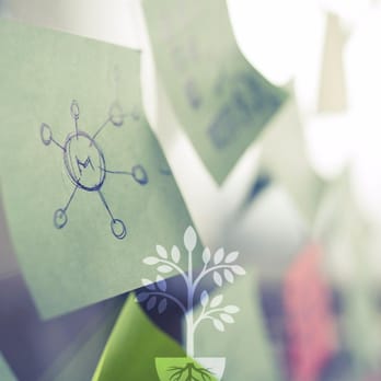 Vinci Digital Marketing - We specialize in growing your business with SEO and Content Marketing - Web Design Near Me - Carmel, California Vinci Digital Marketing - We specialize in growing your business with SEO and Content Marketing - Web Design Near Me - Carmel, California