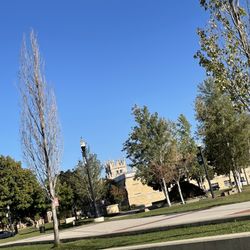 Northern Illinois University