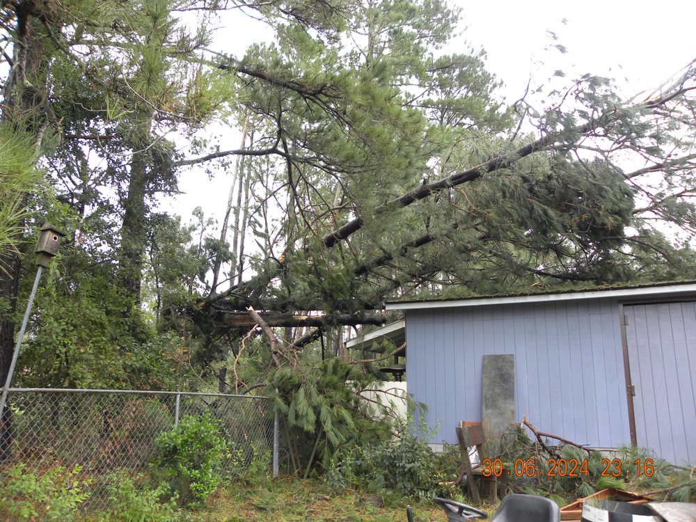 Eaddy's Tree Specialists - tree service in Columbia, SC