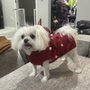 Photo of A & G Pet Grooming