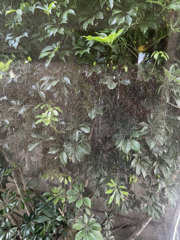 Slide of Coastal Roofing