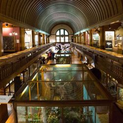 Fairbanks Museum and Planetarium - View from the second floor balcony.