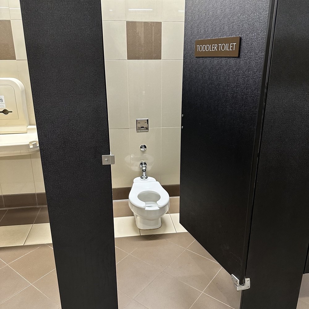 Toddler toilet