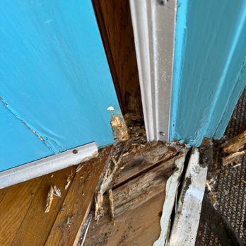 HomeShield Pest Control - Pest Control Near Me HomeShield Pest Control - Pest Control Near Me