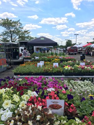 Pittsfield Township Farmers Market by null