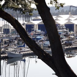 Ladysmith Marina