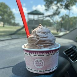 JJs Custard - Medium chocolate yogurt in a cup
