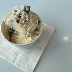 Alumni Creamery - Single cougar scoop, next time I'm going blue goggles