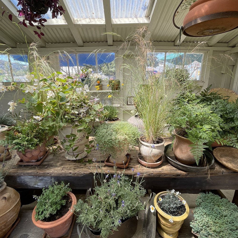 The little cute greenhouse The little cute greenhouse
