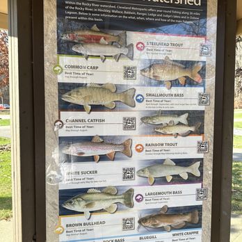 Hinckley Lake Boathouse - This is new, different fish in the Rocky Tiver Watershed - Boating Near Me - Hinckley, Ohio Hinckley Lake Boathouse - This is new, different fish in the Rocky Tiver Watershed - Boating Near Me - Hinckley, Ohio