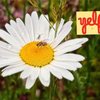 Friendship Botanic Gardens gift card