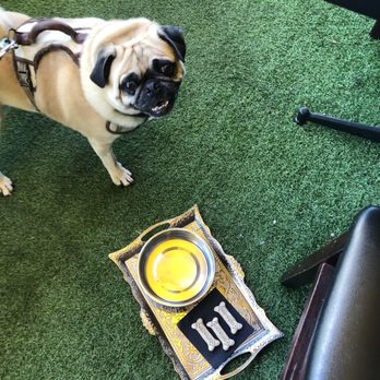 Morrison - Milk-bone dog treats brought out with his water bowl on a silver platter. - Gastropubs Near Me - Los Angeles, California