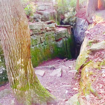 Coopers Rock State Forest - Parks Near Me - Bruceton Mills, West Virginia Coopers Rock State Forest - Parks Near Me - Bruceton Mills, West Virginia