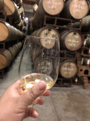 Napa Valley Wine Country Tours by null