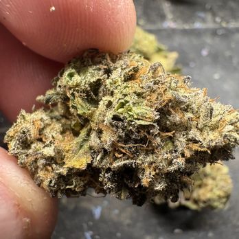 Brotherly Bud - Cannabis Dispensaries Near Me - Mount Ephraim, New Jersey Brotherly Bud - Cannabis Dispensaries Near Me - Mount Ephraim, New Jersey