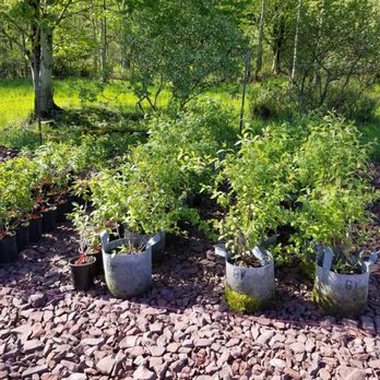 Bear Creek Organics - Landscaping Near Me - White Haven, Pennsylvania Bear Creek Organics - Landscaping Near Me - White Haven, Pennsylvania