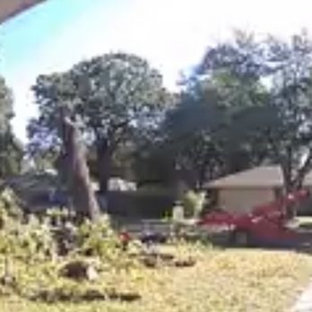 Veterans Tree Service - As the tree was coming down - Tree Services Near Me