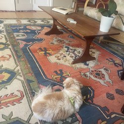 Artisan Fine Rug Care - My dog Buddy approves!