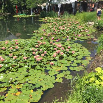 Grounds For Sculpture - Museums Near Me - Hamilton, New Jersey