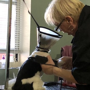 Groomit - Pet Groomers Near Me