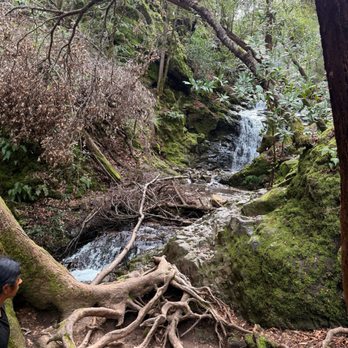 Uvas Canyon County Park - Trail - Parks Near Me - Morgan Hill, California