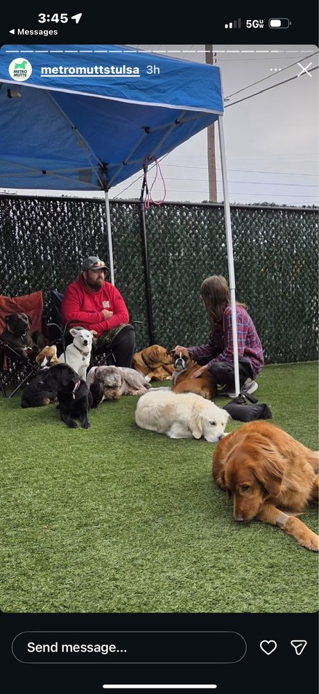 Metro Mutts - pet boarding facility in Tulsa, OK