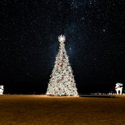 Premier Oaks Lighting