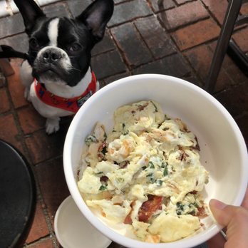 Shorehouse Kitchen - California k9 - Coffee & Tea Near Me - La Jolla, California Shorehouse Kitchen - California k9 - Coffee & Tea Near Me - La Jolla, California