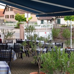 Forêt du Rhin - La terrasse