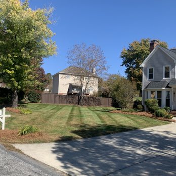Cecilio’s Landscaping - Pine needle install - Lawn Services Near Me Cecilio’s Landscaping - Pine needle install - Lawn Services Near Me