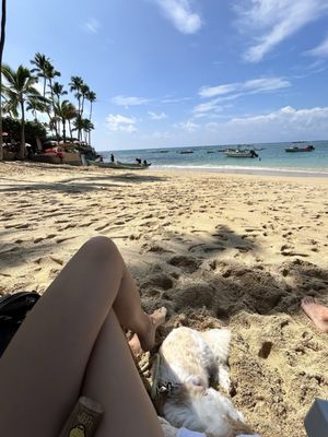 Lotus Honolulu by null